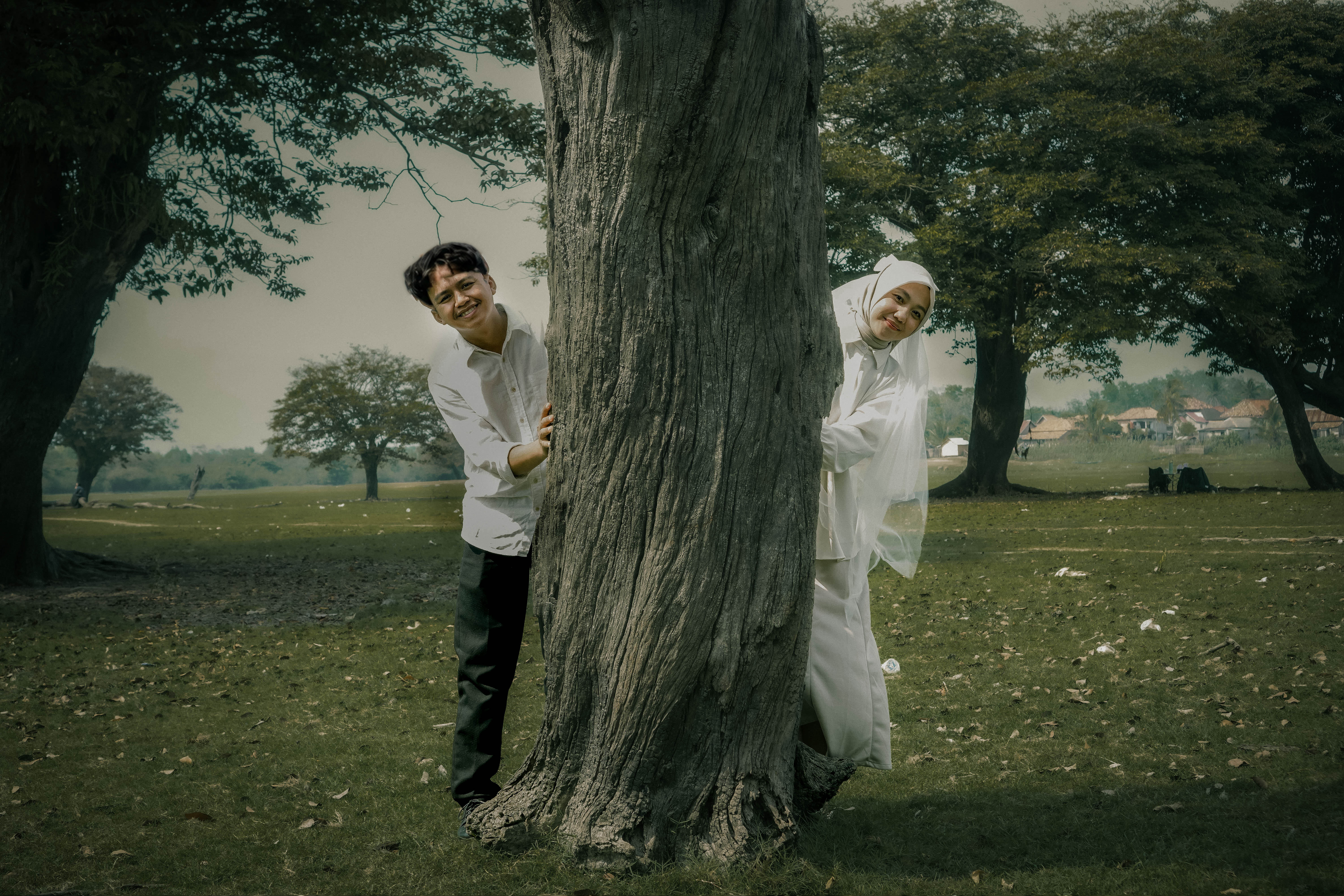Foto galeri